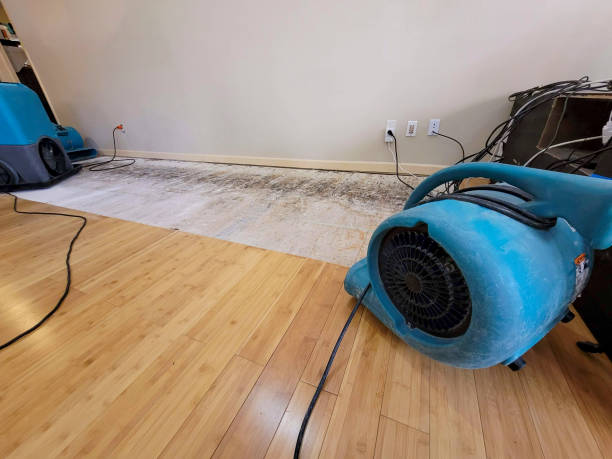 Professional Sewage Cleanup technician working in Lincoln, CA